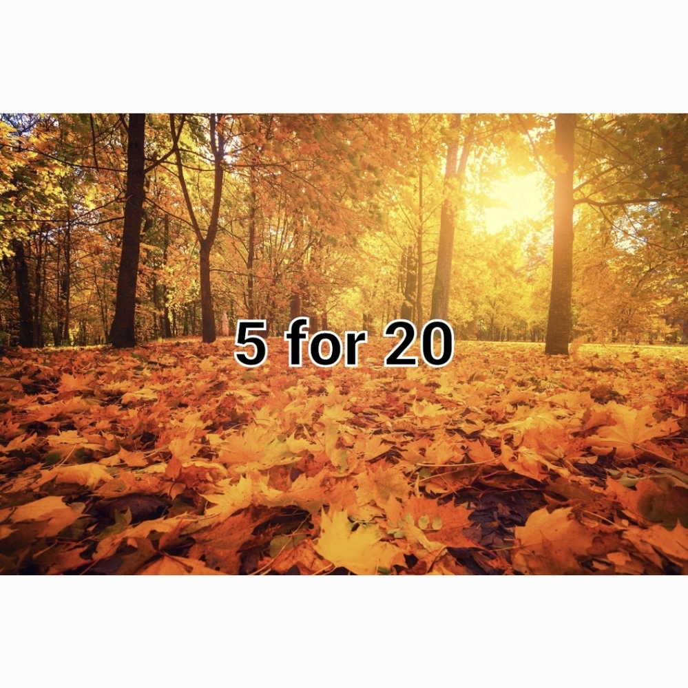 🧸5 for 20🧸